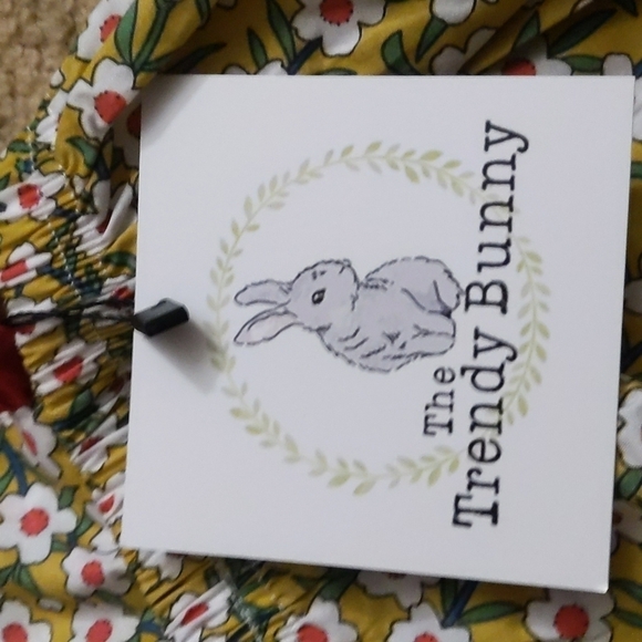 Infant Girl Floral & Ruffle One Piece Photoshoot Outfit Size 0-6 Months - Picture 5 of 9